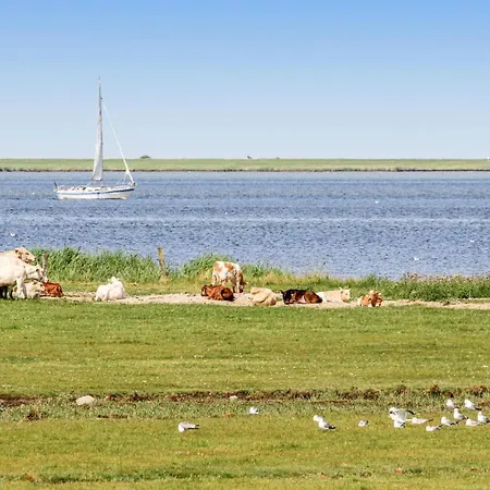 Awesome In Ostseeresort Prázdninový dům Olpenitz